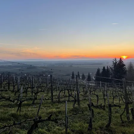 Bandi Weekend House Apartament *