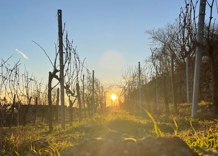 Apartament Bandi Weekend House